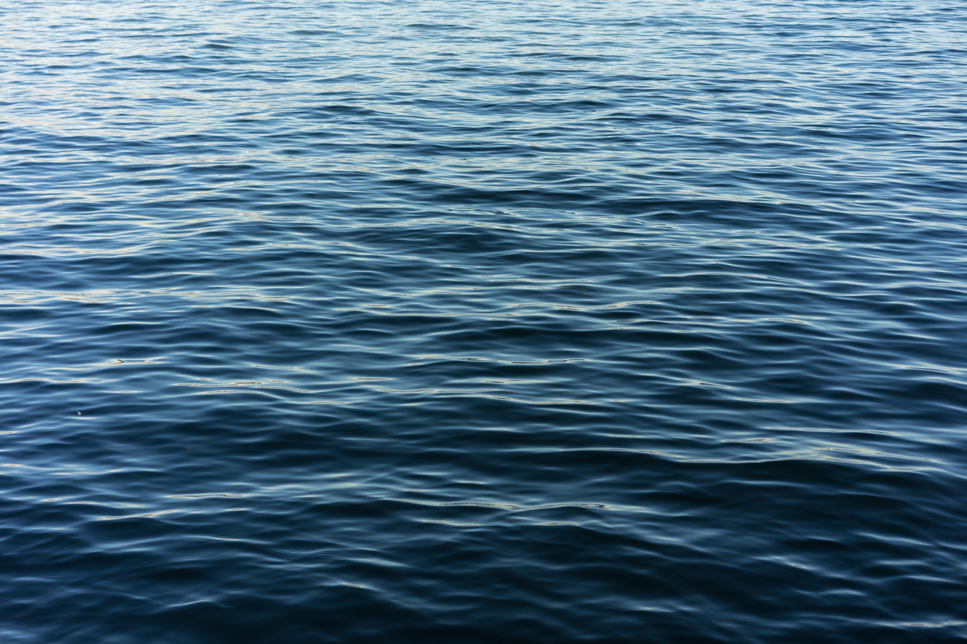 Salon Showcase: 'Dennis' by Rosanna Ogle